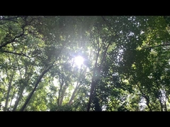 Bluetooth luidspreker stroomvoorziening 192WH lithium ijzerfosfaatbatterij